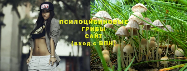 хмурый Волосово